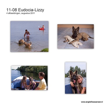 Eudocia-Lizzy op de kiek in de maand augustus
